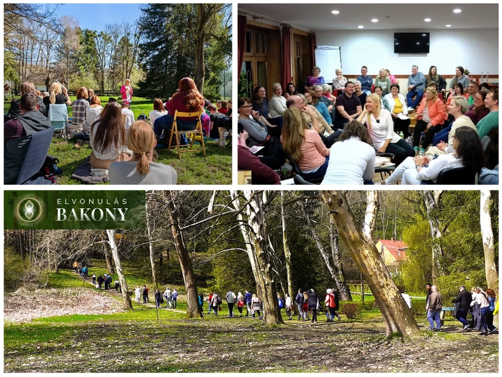 Forrás-Kód Elvonulás Bakony - kapcsolódás, közösségépítés, önismeret, fejlődés, paradigmaváltás